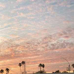 Meet your Posher, Talina